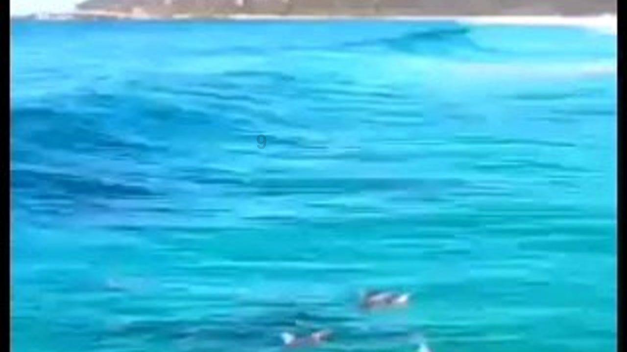逃出豪华宫殿